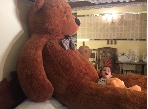  Riesengrosser Teddybär gigantischer Riesen Teddy Teddybär Plüsch Bär 300cm 3m Geschenk Kind Frau Freundin Dunkelbraun