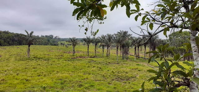 Brasilien riesengrosses 1'000 Ha Tiefpreis - Grundstück mit Rohstoffen
