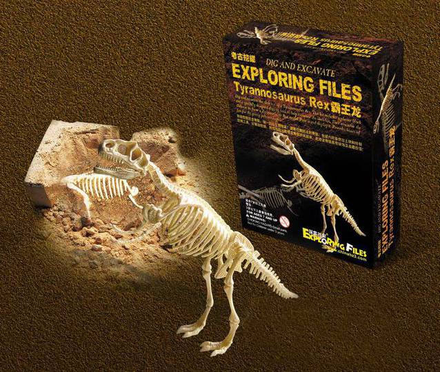 Dinosaurier Tyrannosaurus-Rex T-Rex Ausgrabungsset Experiment Skelett Kreativ Pädagogisch Archäologie
