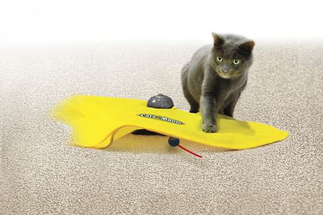 Elektronisches Spielzeug für Katze Katzen Indoor Zuhause Maus Katzenspielzeug bekannt aus TV