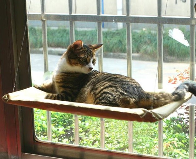 Fenster Katzenliege Katzensitz Sitzplatz Katze bekannt aus TV