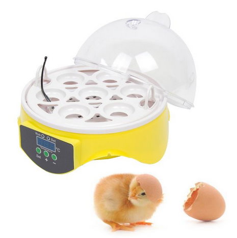 Incubator Anfnger SET Mini Inkubator Brutautomat Brter Ei Brutmaschine Brutautomat Brter Eier Ostern Kind Kinder Kindergarten