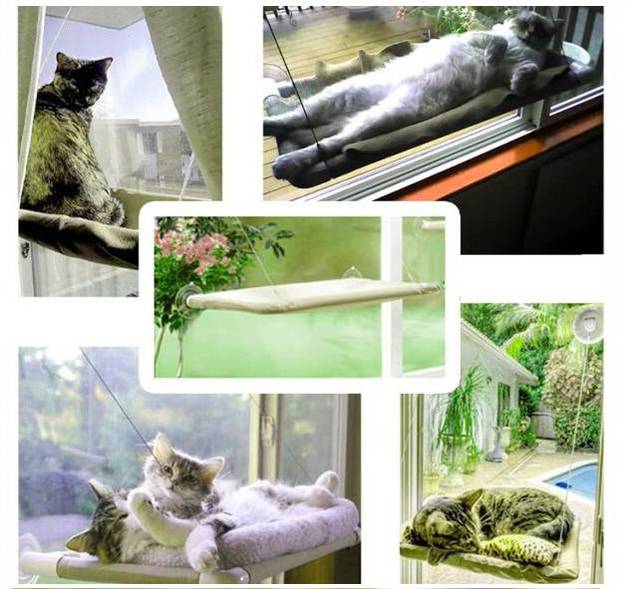 Katzenliege Fensterliege Sunny Seat Sonniger Sitz Katze Bett Liege TV Werbung Hit 2012 bestes Produkt Schweiz