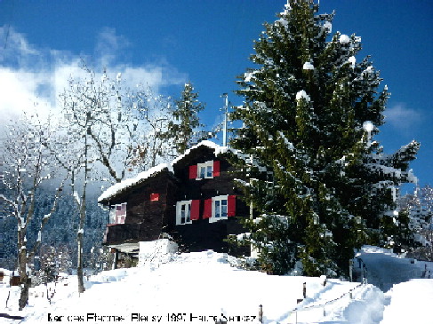 Maiensss in haute-nendaz, 5 Betten, 2 Schlafzimmer, Wohnzimmer, Kche, Balkon gedeckt, Umschwung