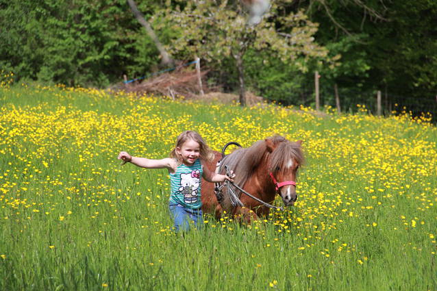 Mutter/Kind Erlebnis auf dem Pony Hof für Kinder ab 3 Jahren