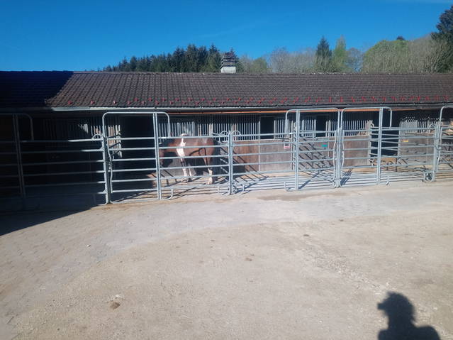 Pferdeboxen in Lamboing Berner Jura zu vermieten 