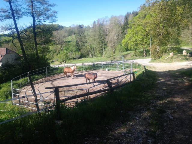 Pferdeboxen in Lamboing Berner Jura zu vermieten 