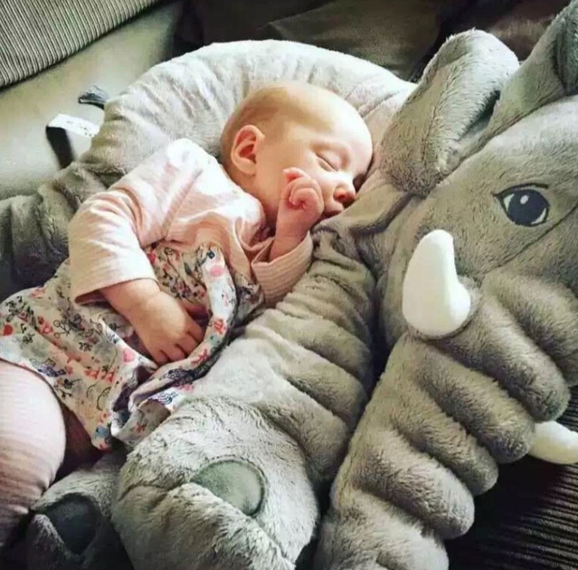 Riesen Plschtier Elefant XXL Kuscheltier Kissen Elefanten Elefantenkissen Baby Kind Kinder Kinderzimmer Geschenk Mutter 80cm 