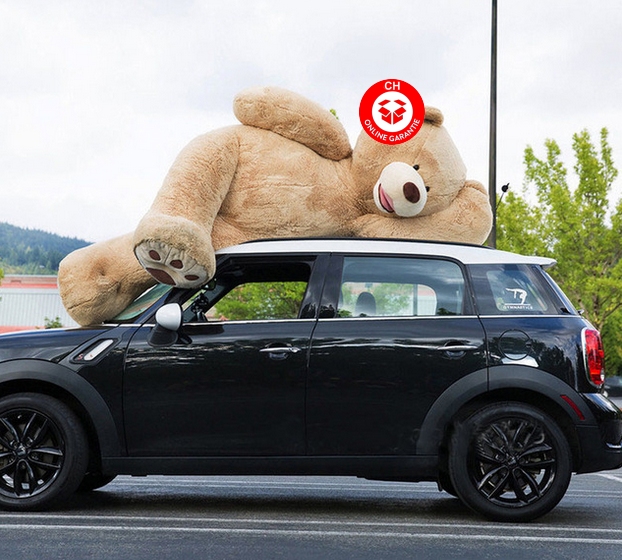 Riesen Teddy Teddybär Plüschbär XXL 2.6m 260cm Geschenk Frau Kind Kinder Kids Plüschtier Superbär XXXL