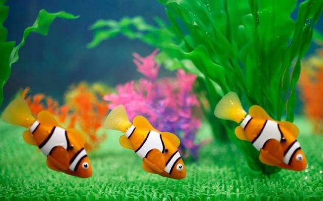 Robo Fisch Fish Clownfisch Nemo Kinder Spielzeug Wasser Wasserspielzeug