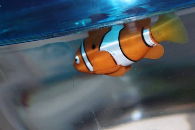 Robo Fisch Fish Clownfisch Nemo Kinder Spielzeug Wasser Wasserspielzeug
